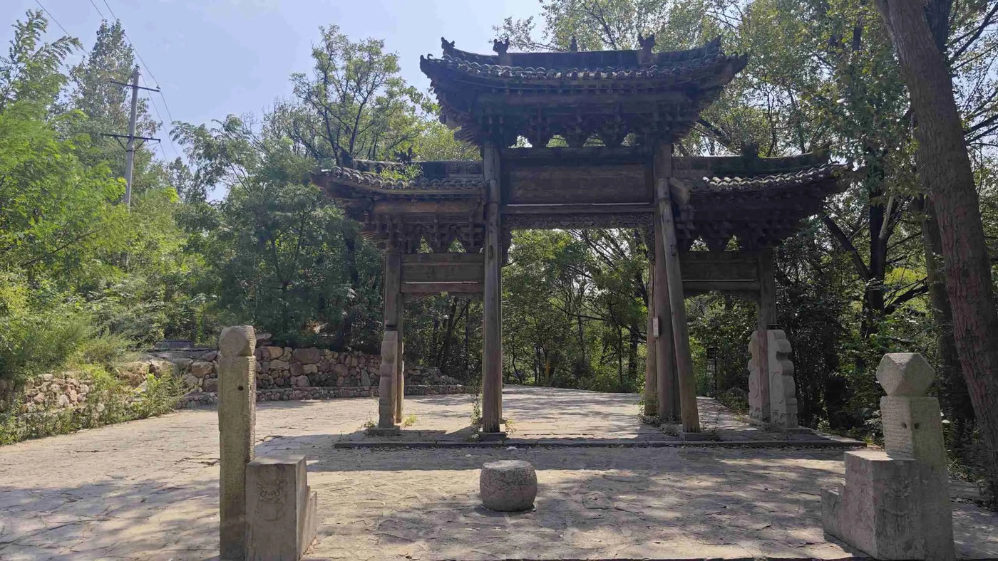 Entrance of a Shaolin Kung Fu school in China — visa guide for training in China