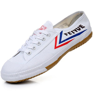 Shaolin FEIYUE Martial Arts Shoes