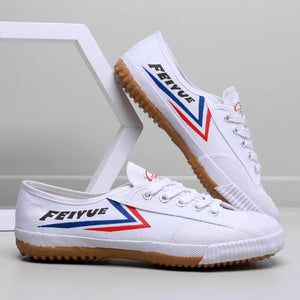 Shaolin FEIYUE Martial Arts Shoes